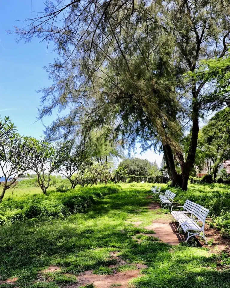 1507302147-768x960 Thailand - Hua Hin - October 2017