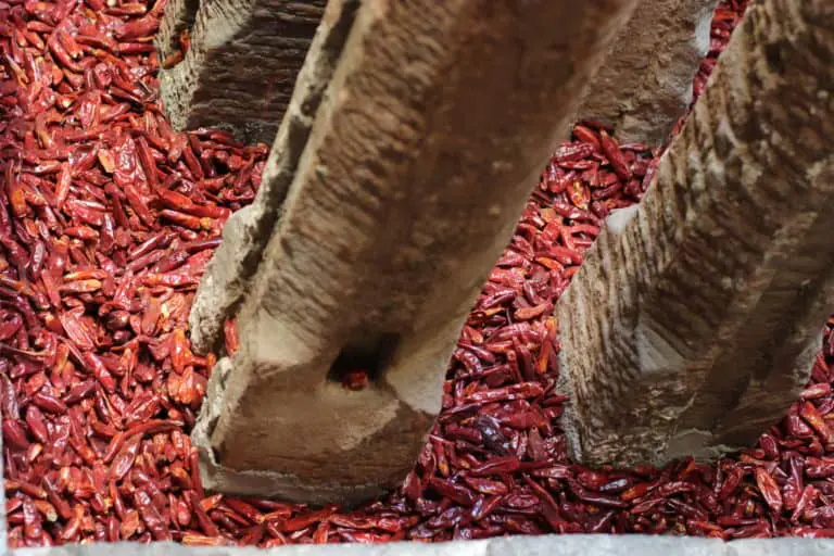 1030774502067610776_IMG_4711-768x512 Chengdu With the Familly