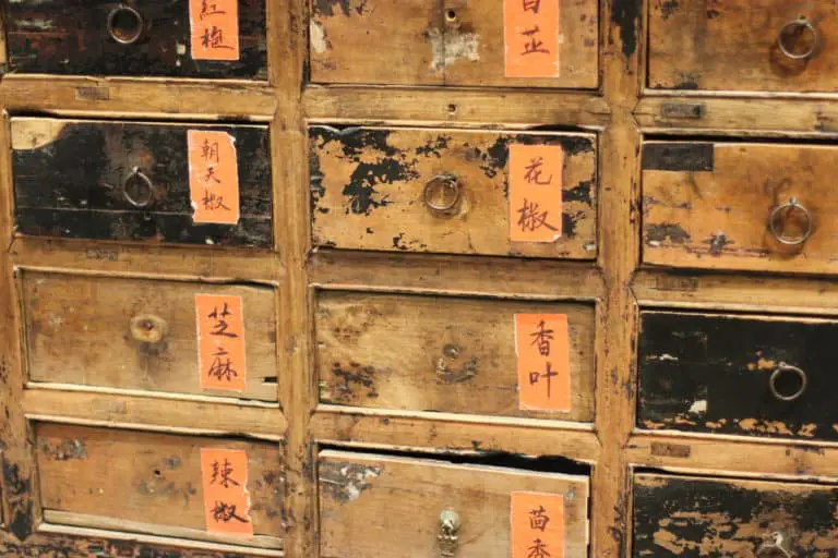 7360828853778904291_IMG_4713-768x512 Chengdu With the Familly