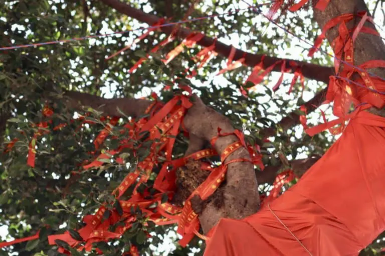 7396664740826789909_IMG_4742-768x512 Chengdu With the Familly