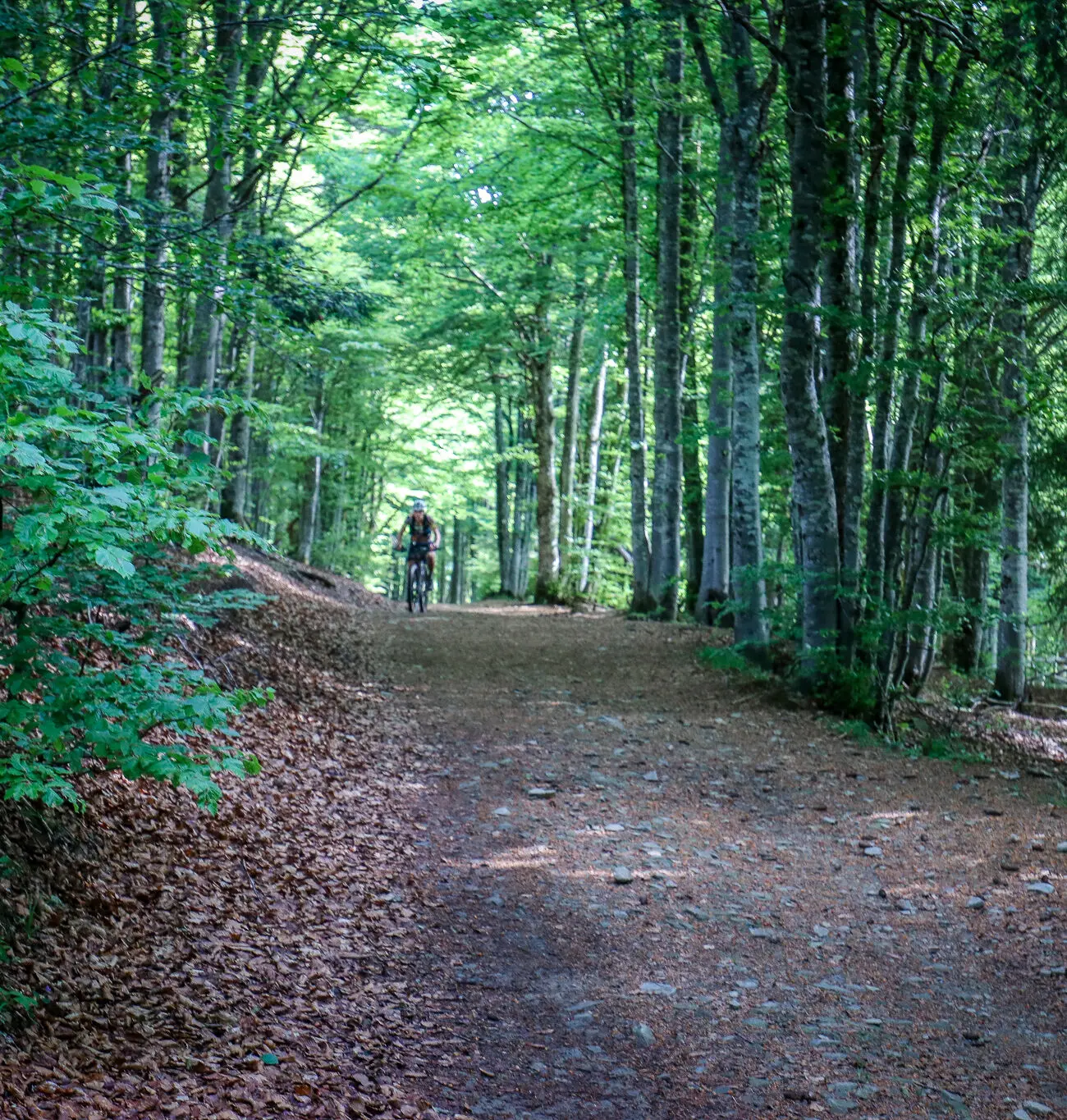 IMG_9859-1300x1365 French Divide 2025, the last | Adrien Becuwe IMG_9859-1300x1365 French Divide 2025, the last