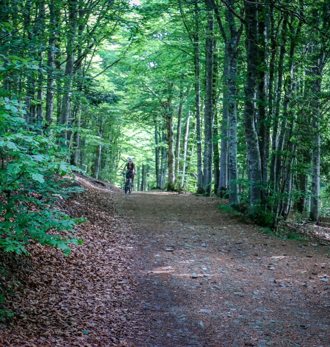 IMG_9860-1300x1365 French Divide 2025, the last | Adrien Becuwe IMG_9860-1300x1365 French Divide 2025, the last