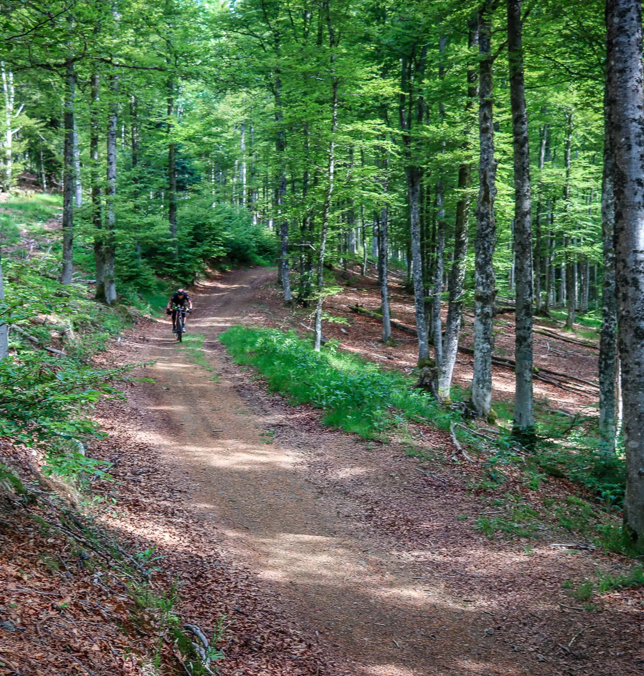 IMG_9875-1300x1365 French Divide 2025, the last | Adrien Becuwe IMG_9875-1300x1365 French Divide 2025, the last