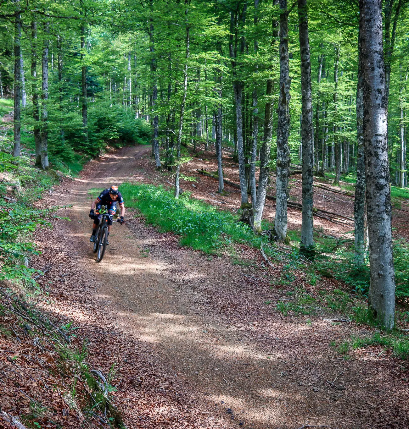 IMG_9878-1300x1365 French Divide 2025, the last | Adrien Becuwe IMG_9878-1300x1365 French Divide 2025, the last