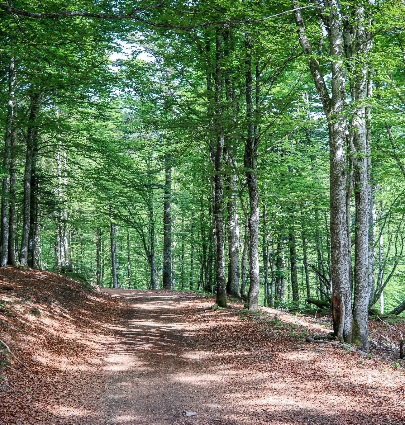 IMG_9890-1300x1365 French Divide 2025, the last | Adrien Becuwe IMG_9890-1300x1365 French Divide 2025, the last