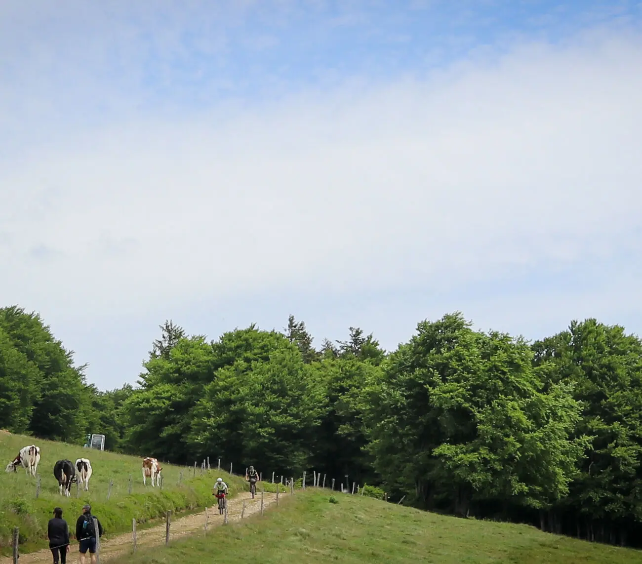 IMG_9927-1300x1142 French Divide 2025, the last | Adrien Becuwe IMG_9927-1300x1142 French Divide 2025, the last