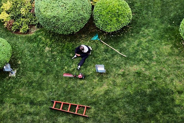 1523703877 #citywall #xian #view #worker #green #photography
