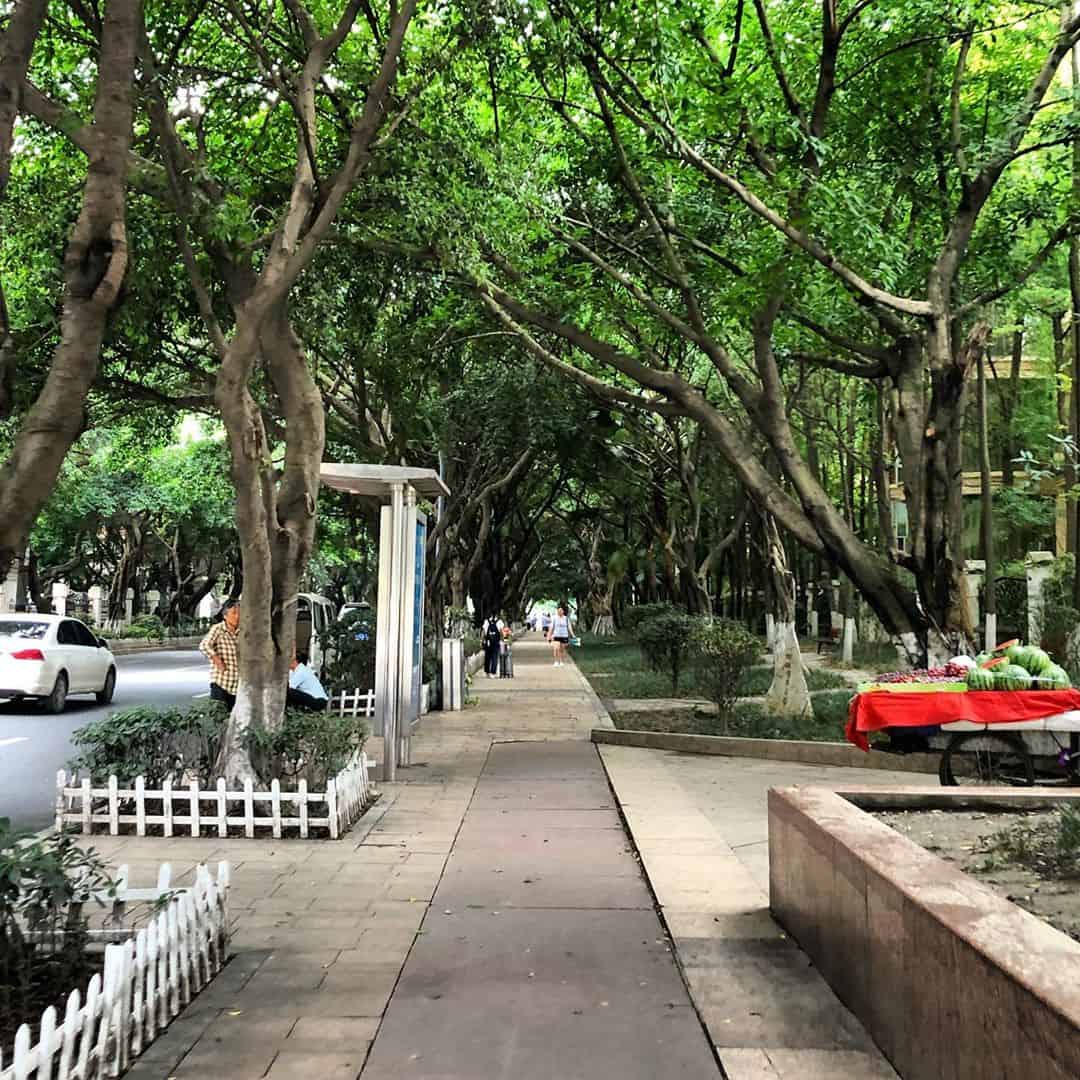 three-chengdu-green-street-chengduexpat #three #chengdu #green #street #chengduexpat